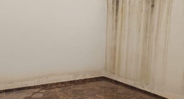 6bec152c-04f7-439e-8efb-5021a3546876