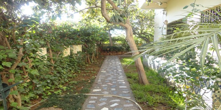 dsc04663