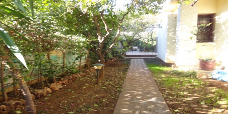 dsc04664