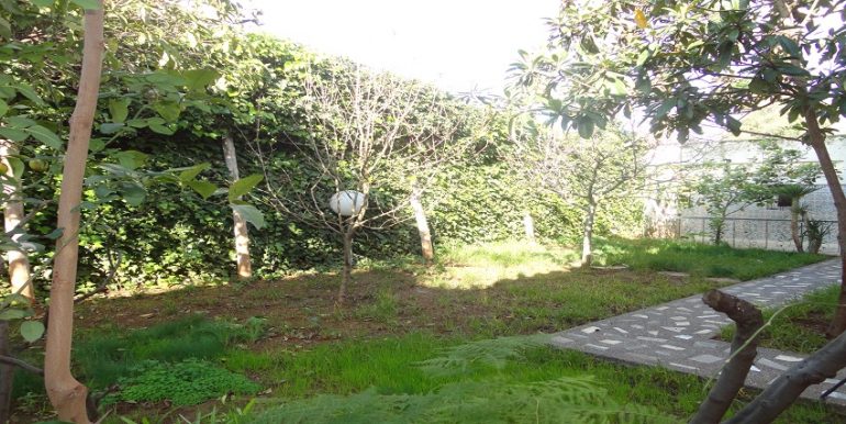 dsc04666
