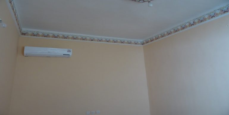 dsc03739