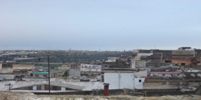 dsc04351