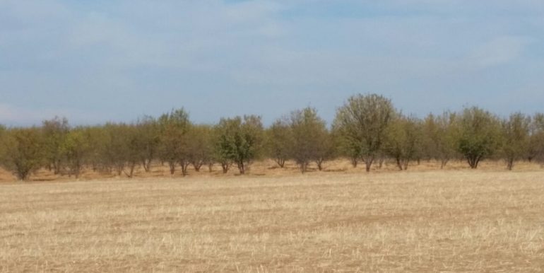 IMG-20171123-WA0005