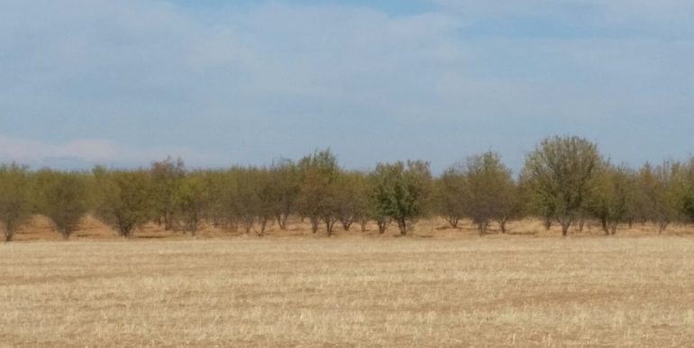 IMG-20171123-WA0006