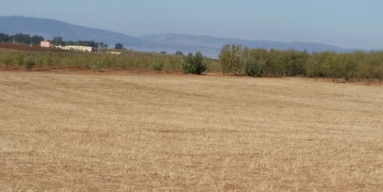 IMG-20171123-WA0007