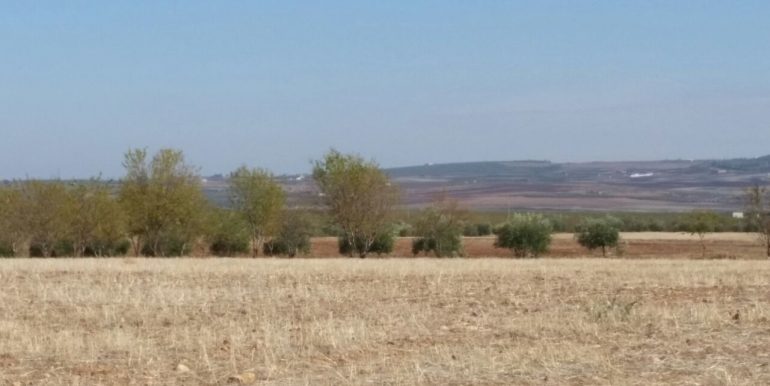 IMG-20171123-WA0008