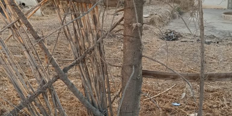 1333f669-33f3-4a43-bded-7e1594fcad3f