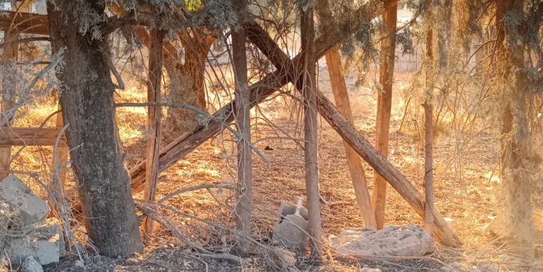 13dd13da-f96a-4c2a-9864-74963425a0b7