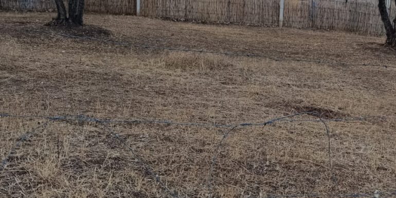 26b5f026-ed41-444d-83b8-c352e6fb36d1