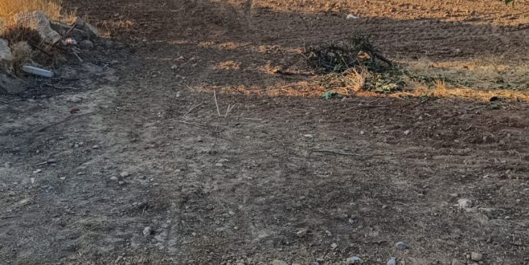 2de9d5d2-419f-4e05-ba64-288603eed85a