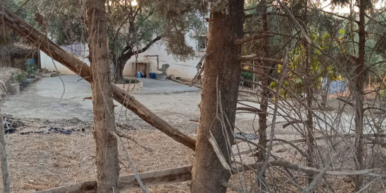 35052078-0b8c-4841-bf81-f15b681933c3