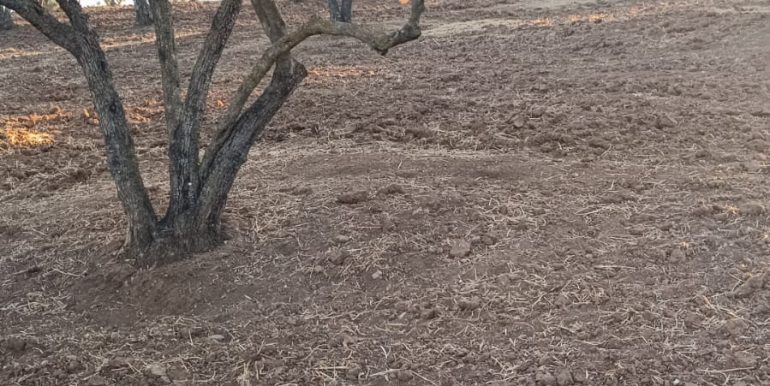 54a792dc-0d24-497c-a03a-70c68ffef876