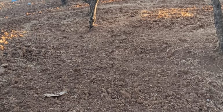 617d89c4-b2a4-47f7-b4be-1543d88abfde