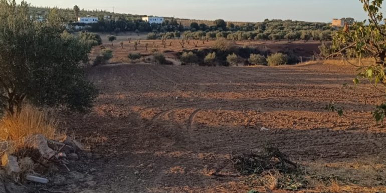 a582d084-5d53-4a16-8b54-a2fed7f1535a