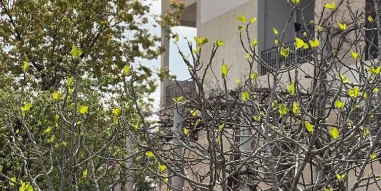 3b9ac13b-e73d-4e16-b7e9-cbe730a1b2bc