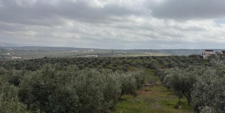 af1a67b0-ceba-48c1-a8ce-e159ae1858c2