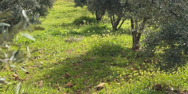 efbbae0a-e6b2-464c-b26b-268fda1bb119