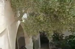 Maison avec jardin a vendre