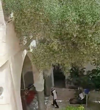 Maison  avec jardin a vendre